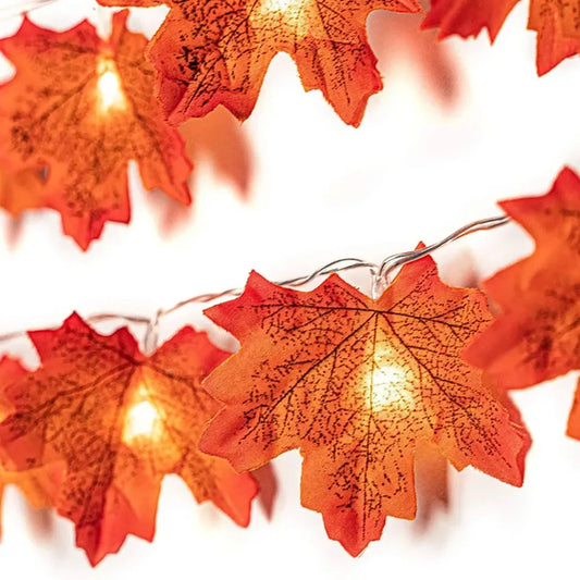 Guirlande Lumineuse LED Halloween – 3 à 6 Mètres